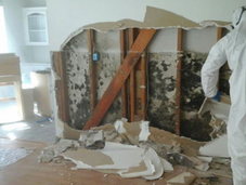 Health Effects Of Dampness And Mold Exposure