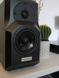 The AYAL bookshelf loudspeaker in black Valchromat, displayed in a home setting, on a shelf with a cactus next to it.