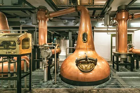 Mcconnells distillery.webp