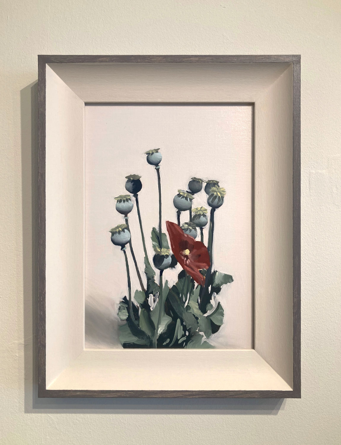 'Poppy'