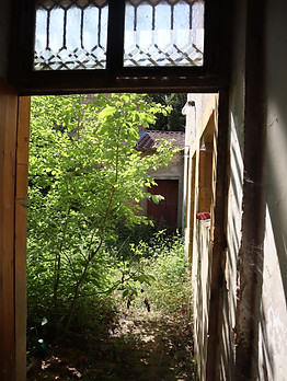 IMG_2051.jpg