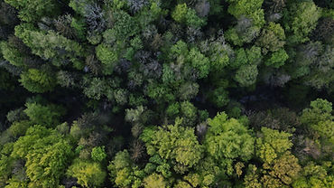 DJI_0068.JPG