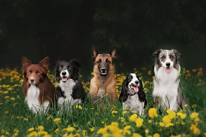shutterstock_308235317.jpg