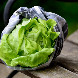 Ready-to-use salad: Attention, increased risk of salmonella infection