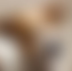 Das Prinzip Freiheit in Beziehungen