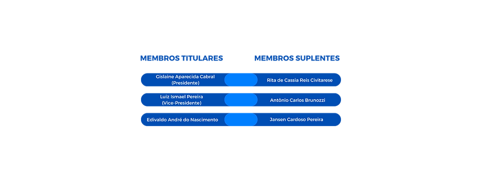 Conselho fiscal Site.png