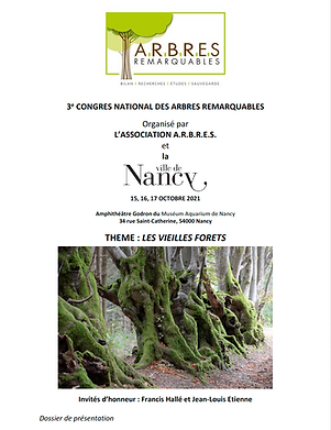Congrès de Nancy