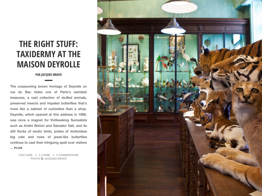 THE RIGHT STUFF: TAXIDERMY