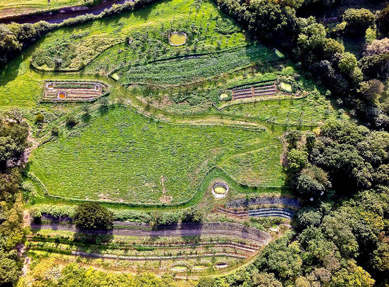Verger marâicher, terrain du Bec Helloin, maraîchage biologique