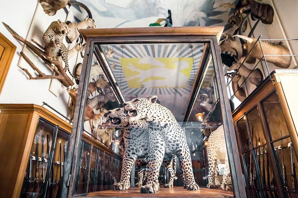 Musée de la chasse et de la nature