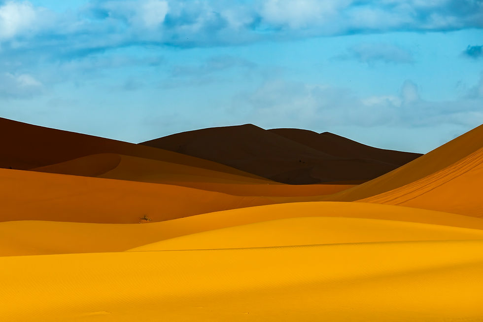 merzouga dunes wix-3.jpg