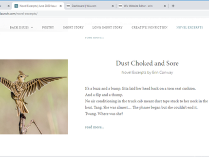 First pages Dust Choked and Sore in The Write Launch