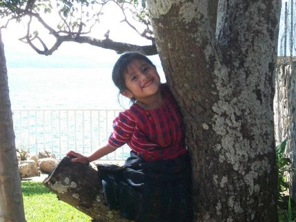 This section is currently under construction.