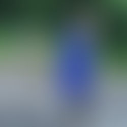 The strawberry moon was most visible at 9am this morning.