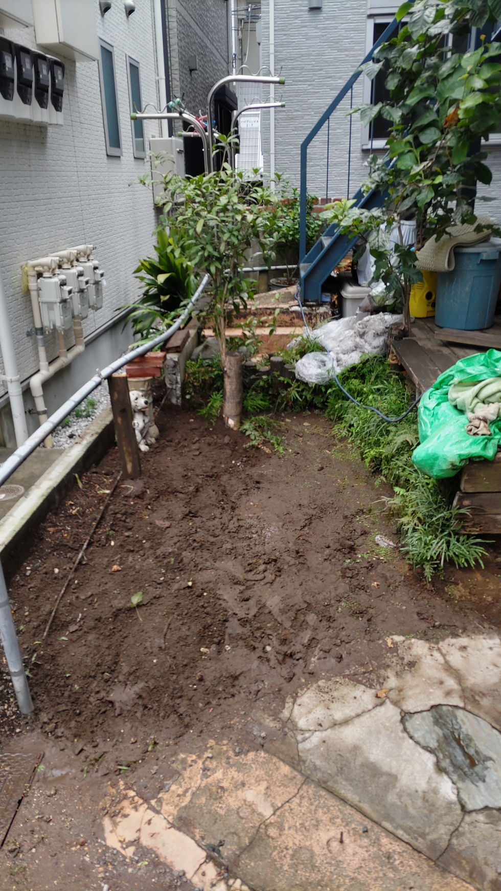 斫り後の庭
