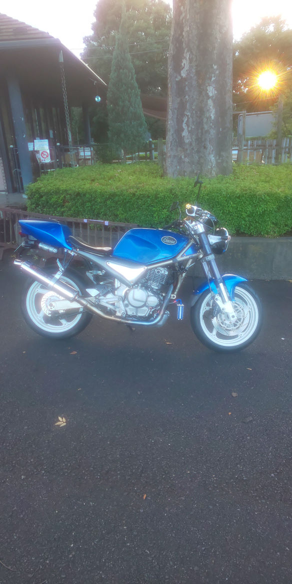 Goose250