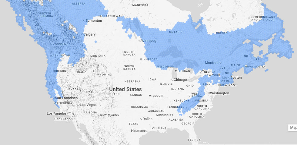 Range of Lobaria pulmonaria in North America.