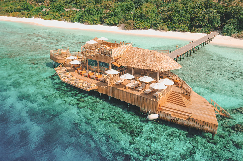 Soneva Fushi Maldives Restaurant Dining Out of the blue