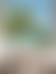 Cheval Blanc Seychelles - Le White