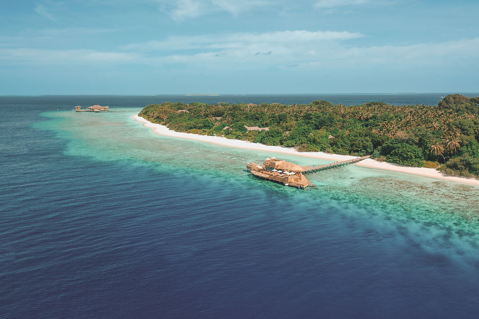 Soneva Fushi Maldives Restaurant Dining Out of the blue