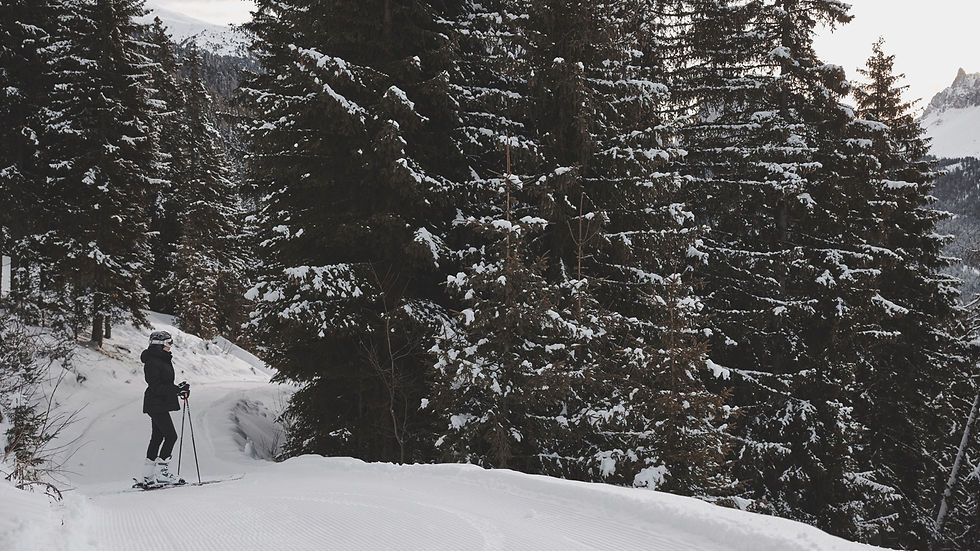 Forestis dolomites experiences Ski-In/Ski-Out winter