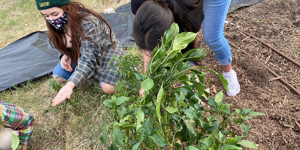 Garden Workday | Dia de Trabajo en el Jardin