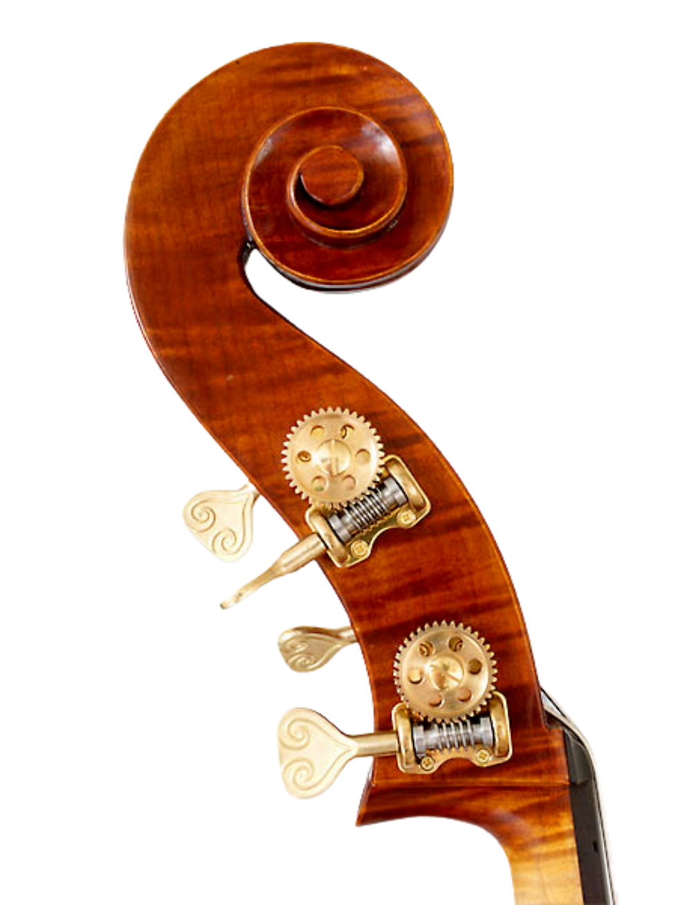 Thumbnail: Anton Krutz Gamba Bass
