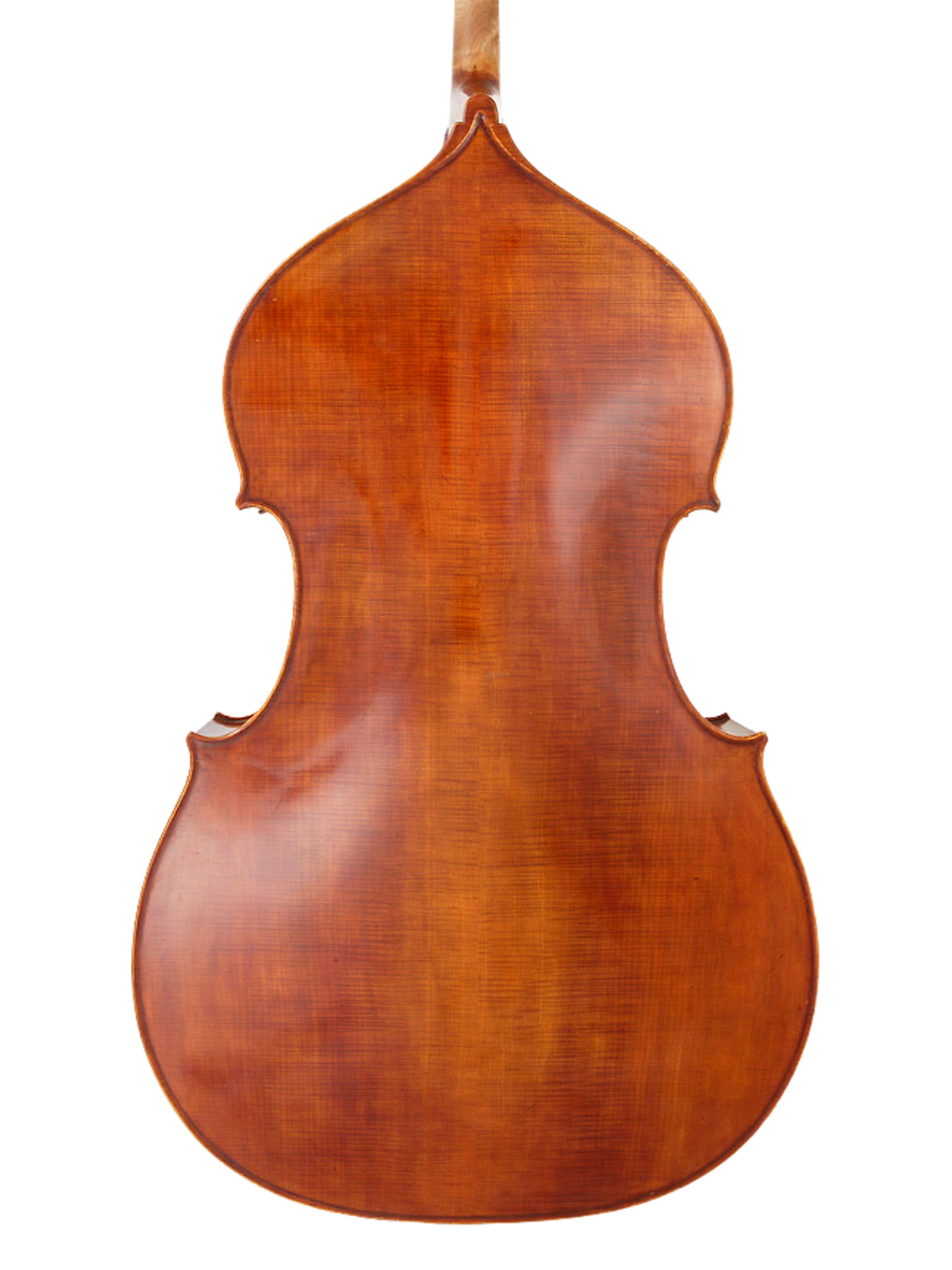 Thumbnail: Anton Krutz Gamba Bass