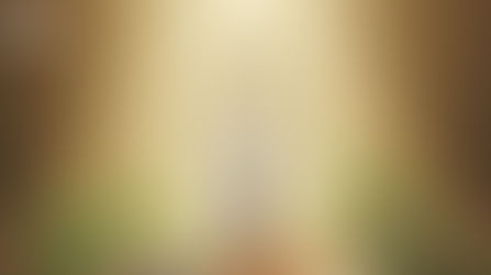 Follow the White Rabbit: A Journey into Health, Higher Vibration & Unity ~ by Adele Arini (6 December 2025).