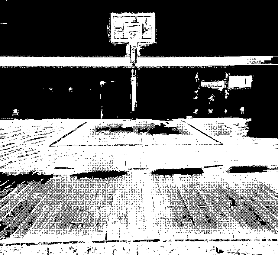 imageedit_2_3019696144.gif