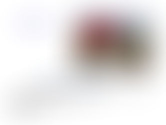 Trip from WLAC to Solent Sky Museum