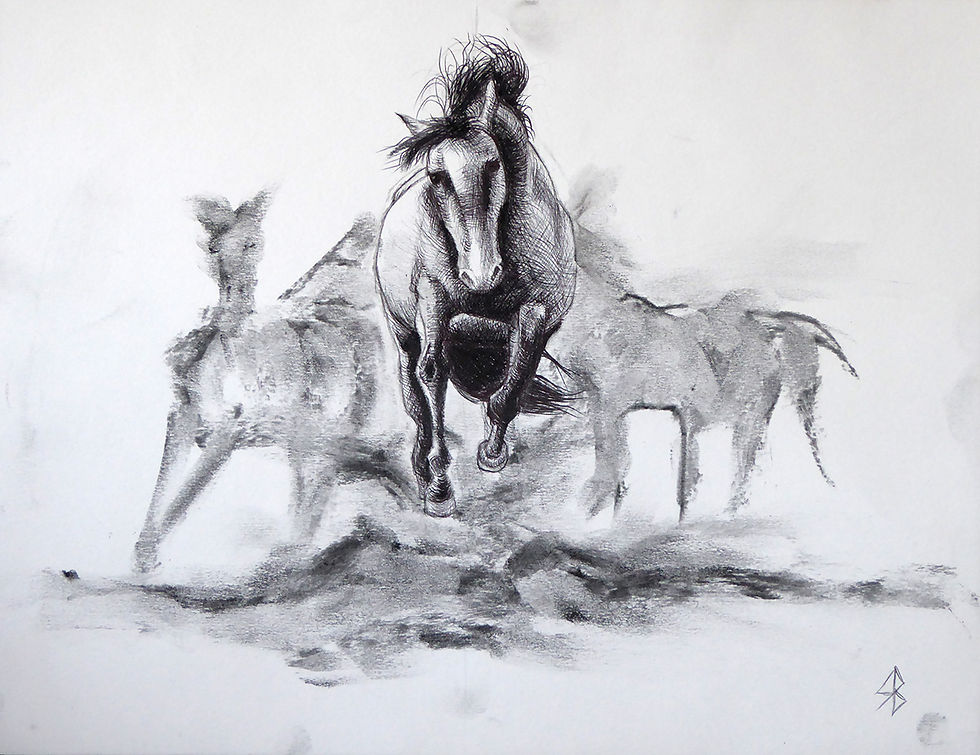 Galop