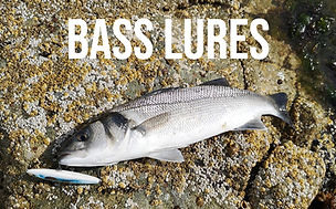 Bass fishing lures