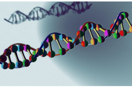 Edición de genes