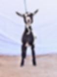 thumbnail_DSC_0242