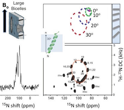 Oriented Sample Solid State NMR