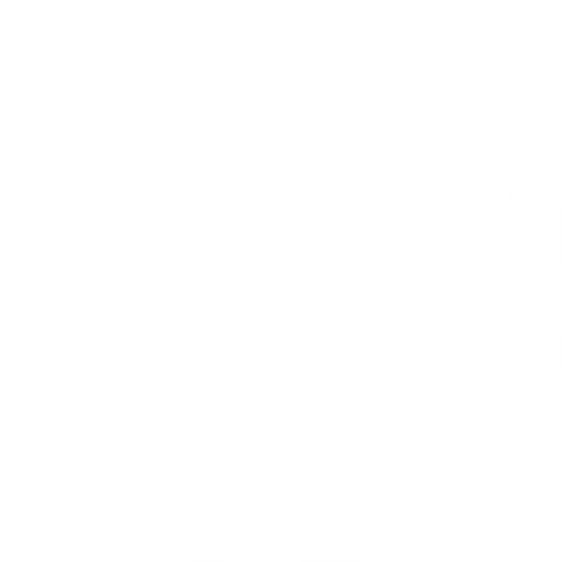 White EMP Logo