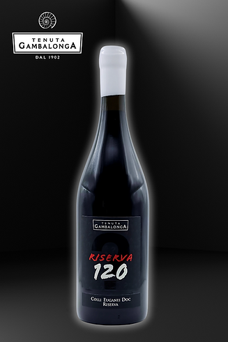 Progetto senza titolo (5).png