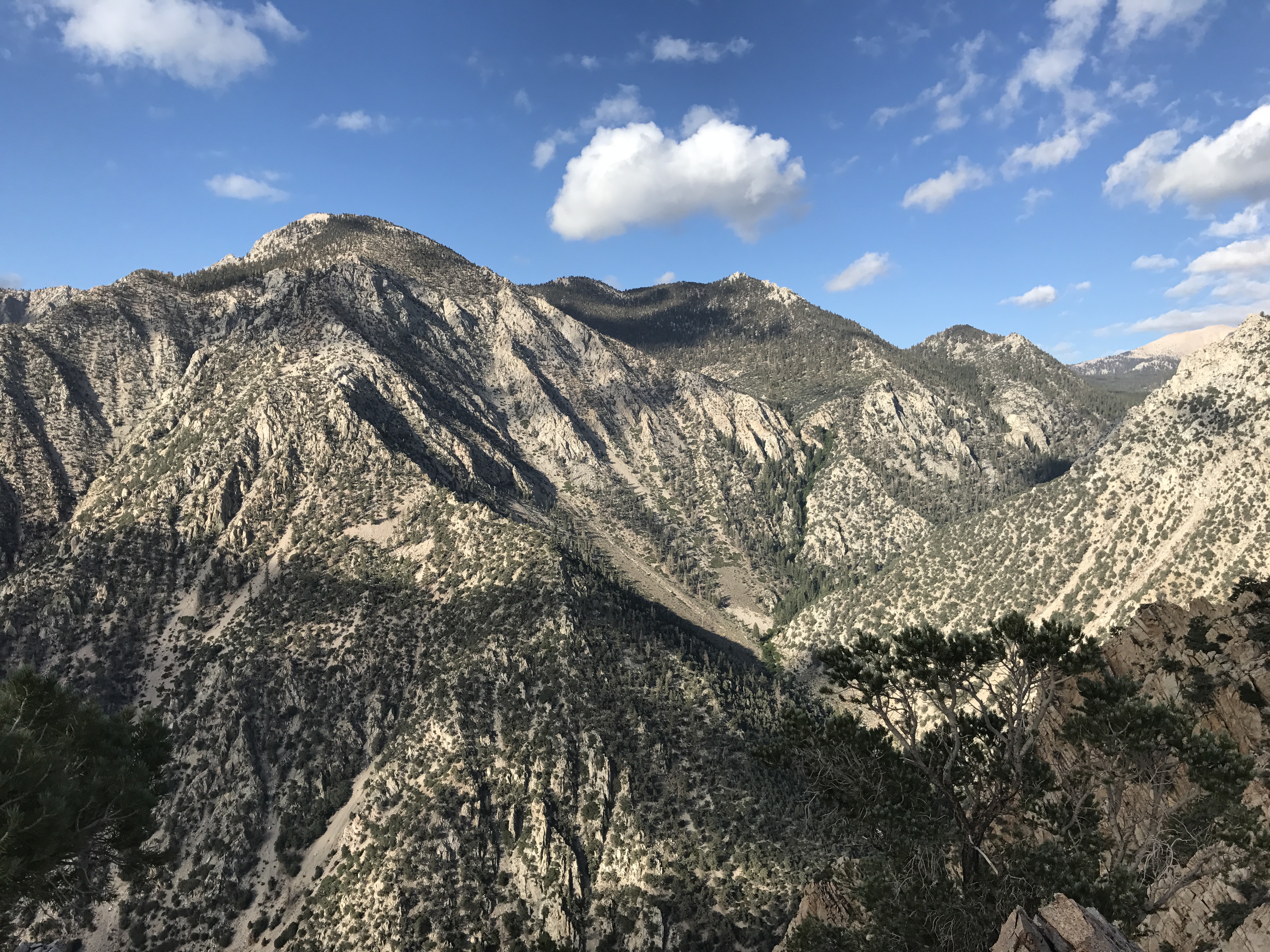 Timosea Peak Ridgeline