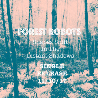 Welcome To Forest Robots