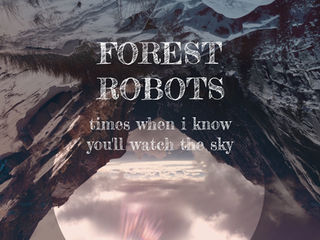 New Forest Robots Album "Times When I Know You'll Watch The Sky" Out 11/01/2019.