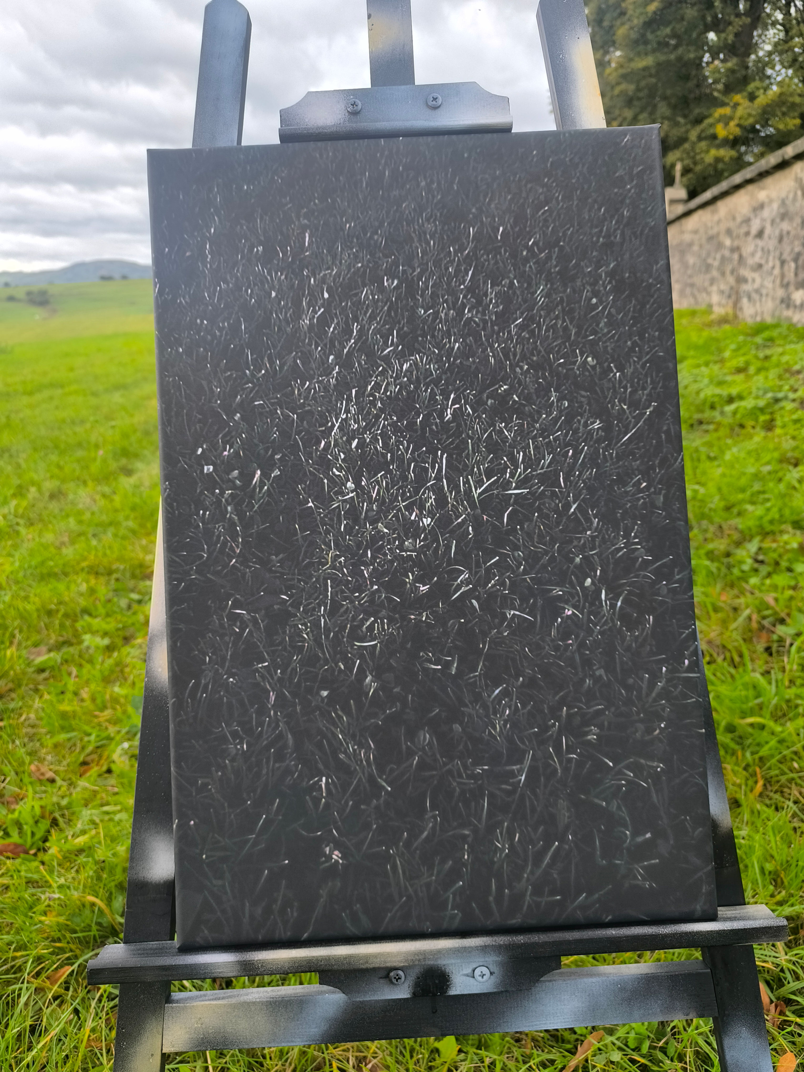 Nothing But Thorns 40x60 (edice Illuminatio Momenti, sada Luminae Primae)
