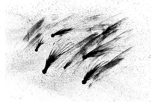 původní ilustrace k textu "Perseidy"