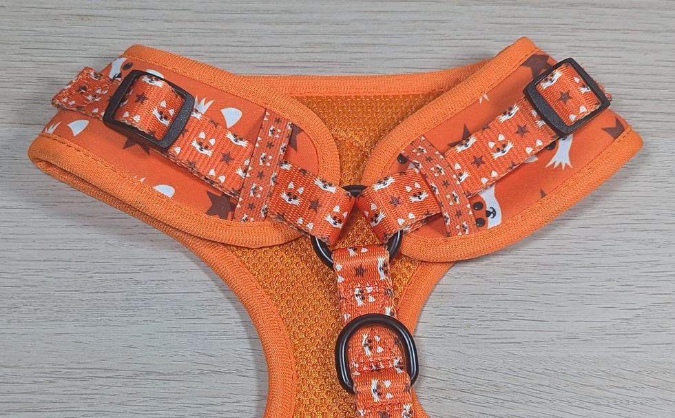 Thumbnail: Fox Soft Harness