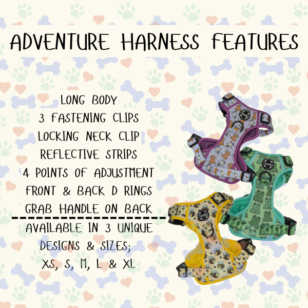 Thumbnail: Frog Adventure Harness