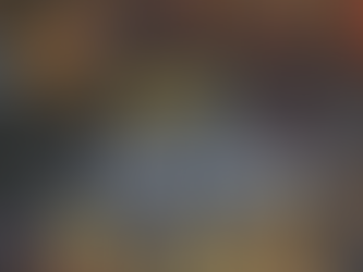 THE OPTIMISTIC FARMER-November 2025