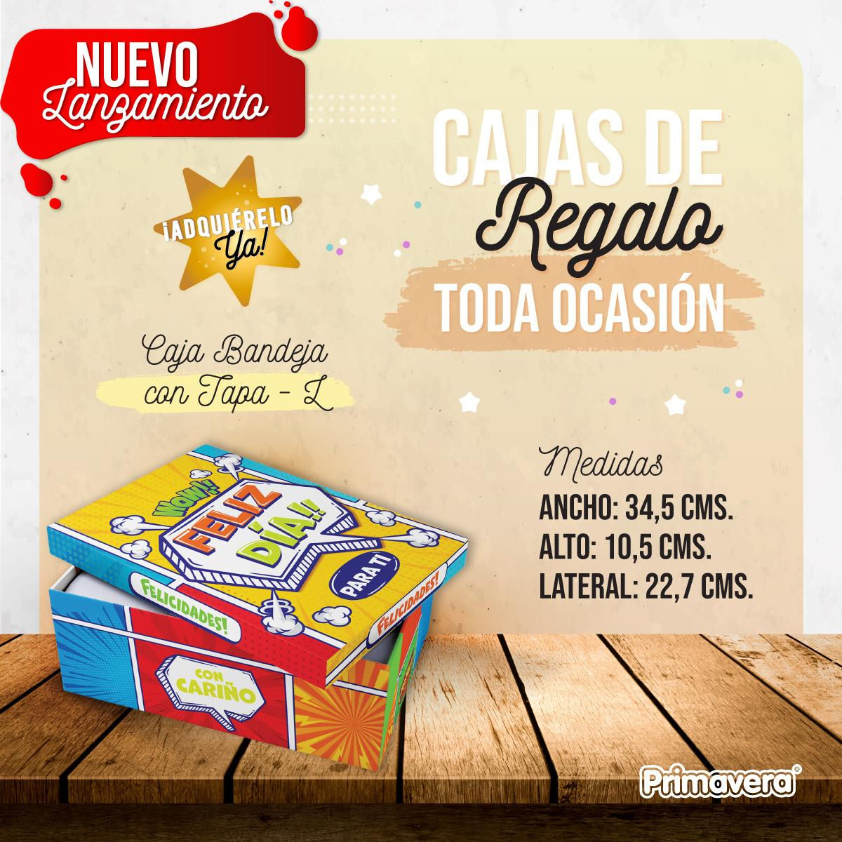 Caja Para Regalo Bandeja y Tapa L