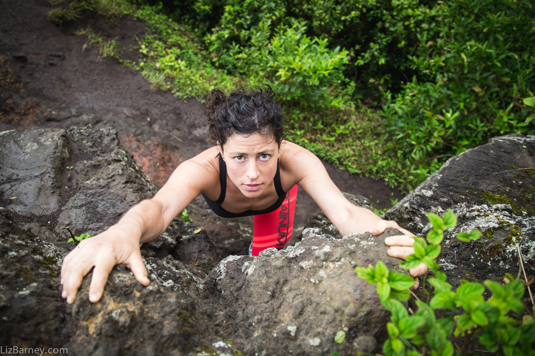Scouting O'ahu Island, Hawaii 2015
