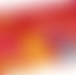 Multifunkčná mestská karta