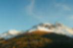Landscape with blue sky, snow-covered mountains, and trees in foreground.